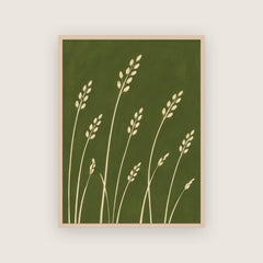 Avena – Affiche graminées vert olive