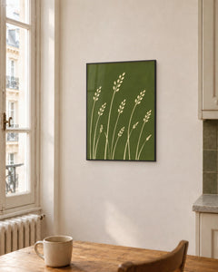 Avena – Affiche graminées vert olive