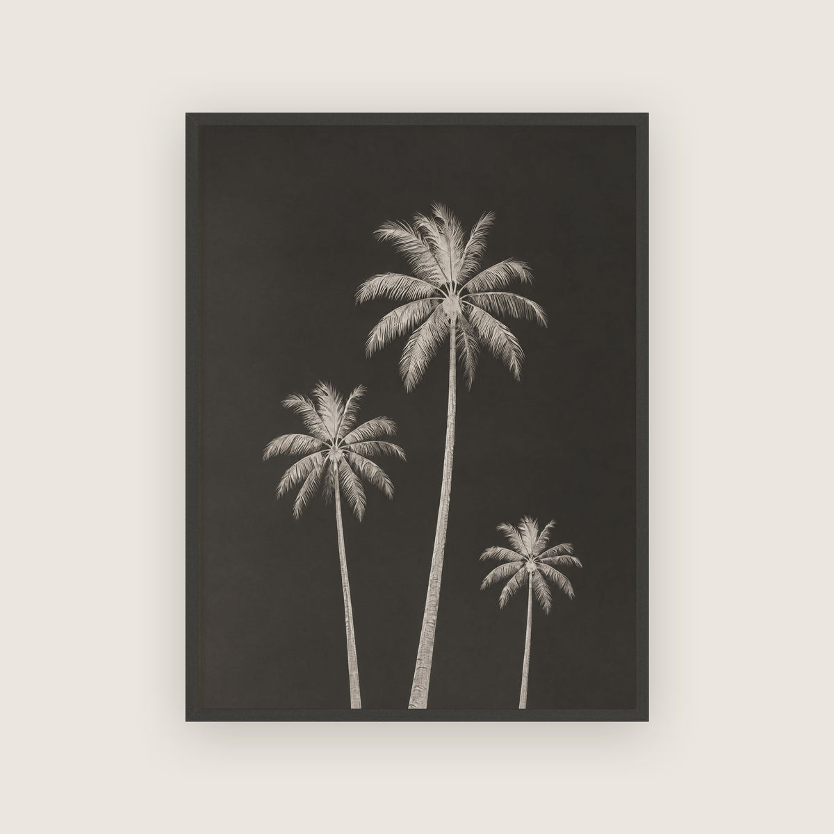 Été 82 – Affiche palmiers noir et crème