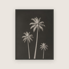 Été 82 – Affiche palmiers noir et crème