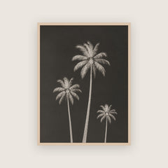 Été 82 – Affiche palmiers noir et crème