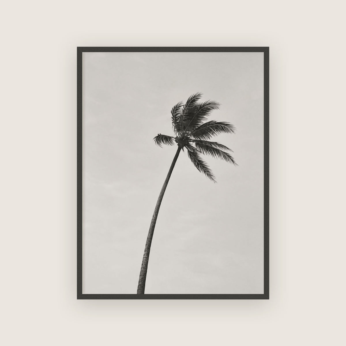 Saison des pluies – Affiche palmier noir et blanc