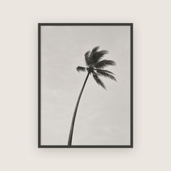 Saison des pluies – Affiche palmier noir et blanc