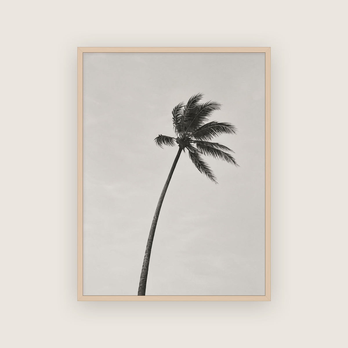 Saison des pluies – Affiche palmier noir et blanc