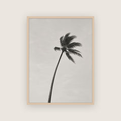 Saison des pluies – Affiche palmier noir et blanc