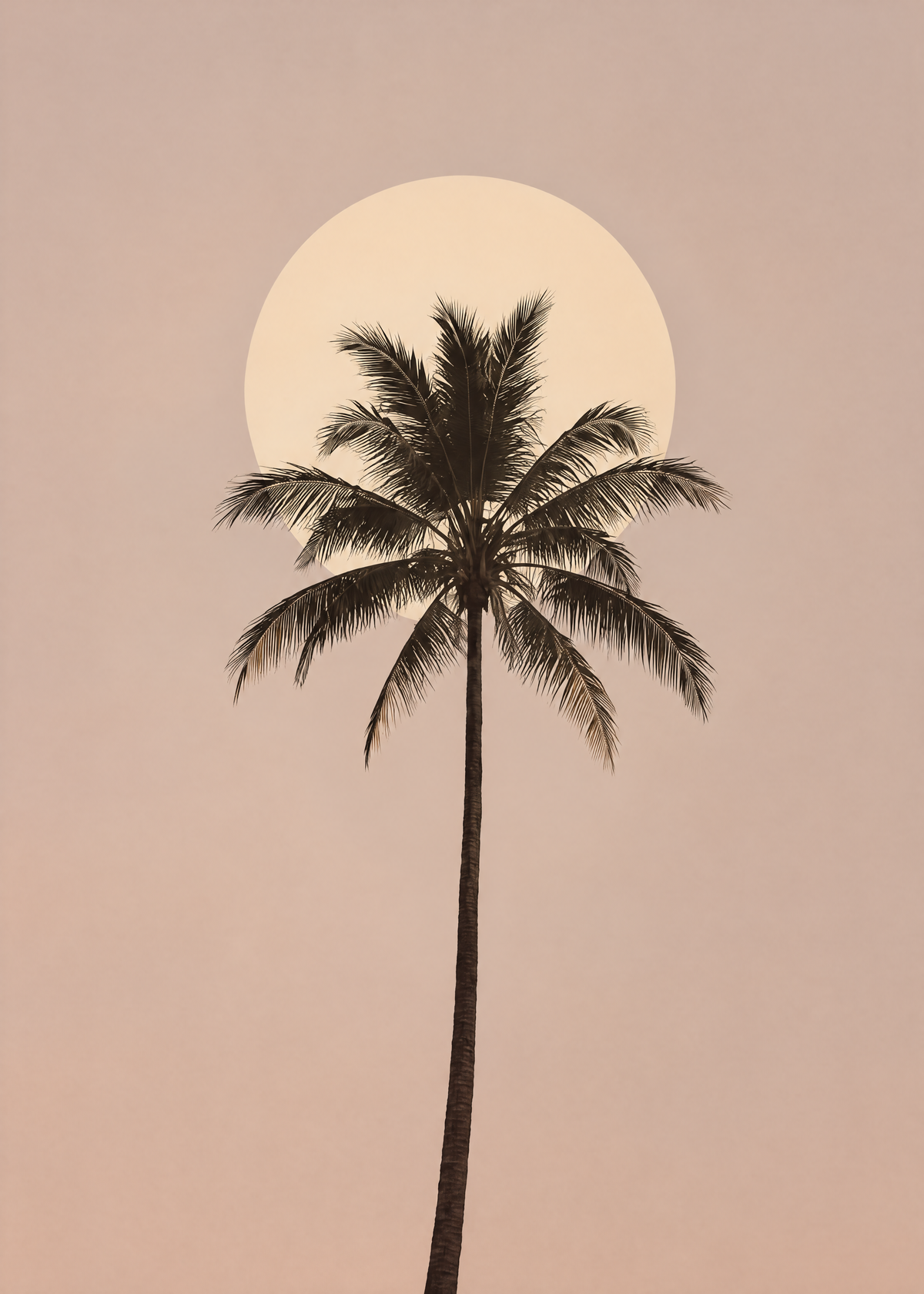 Affiche tropicale minimaliste, silhouette d'un grand palmier devant un soleil pâle sur un ciel rose poudré